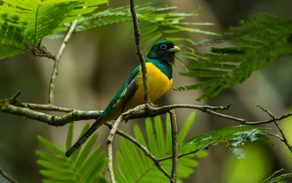 Ihre Rundreise mit 13 Nächten im Detail