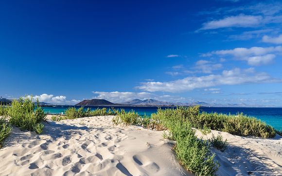 Willkommen auf... Fuerteventura!