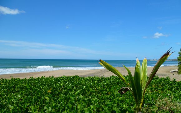 Ihre optionale Verlängerung in Rio Hato (Angebot 2)