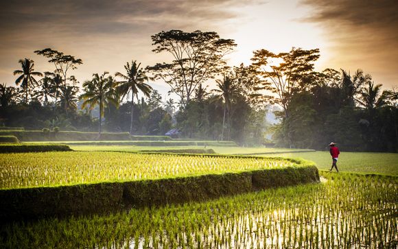 Willkommen auf... Bali!