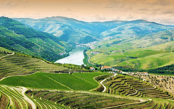 Willkommen im... Douro-Tal !