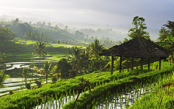 Willkommen auf... der Insel Bali!