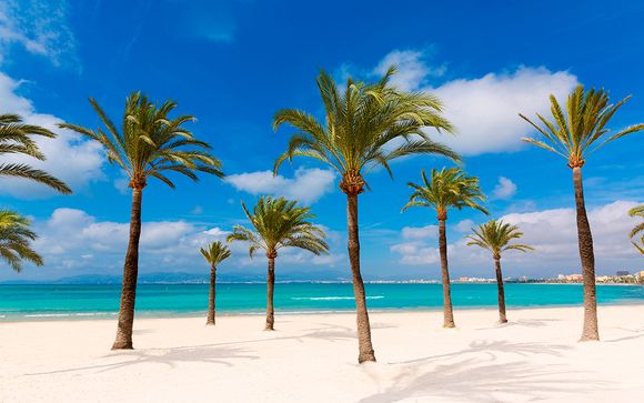 Willkommen auf... Mallorca!