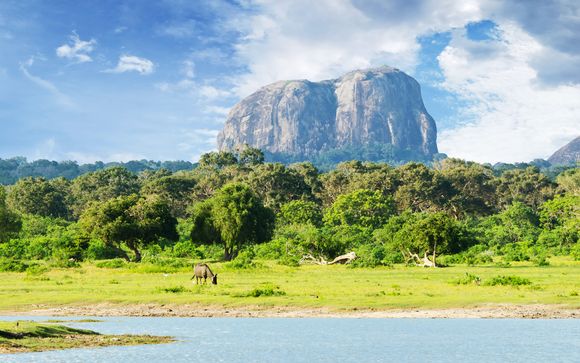 Willkommen in... Sri Lanka!