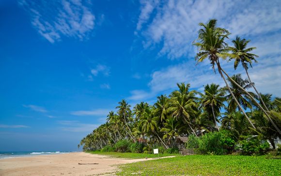 Ihr Strandaufenthalt