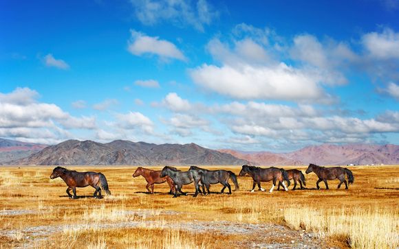 Willkommen in... der Mongolei!