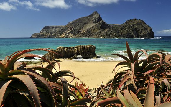 Willkommen auf... der Insel Madeira!