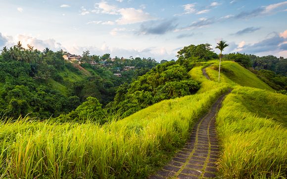Willkommen in... Bali!