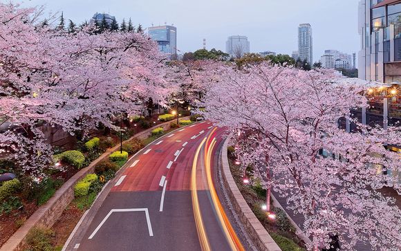 Ihre Rundreise im Detail