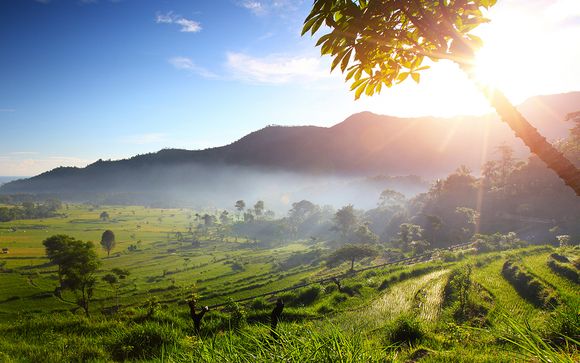 Willkommen in... Bali!