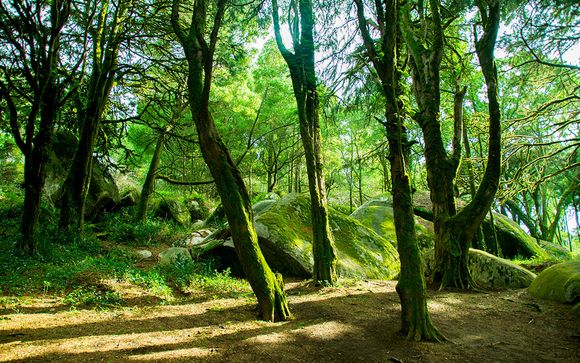 Willkommen in... Sintra!