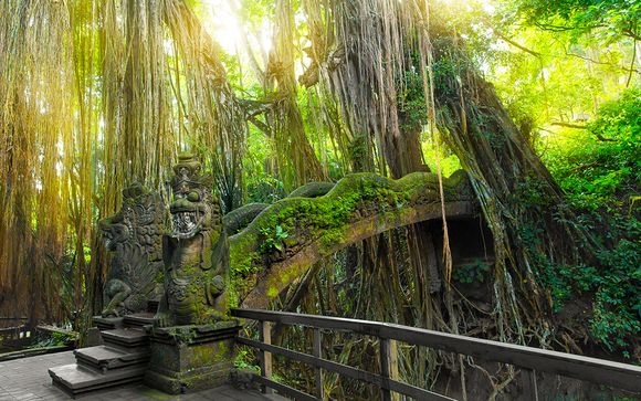 Willkommen auf... der Insel Bali!