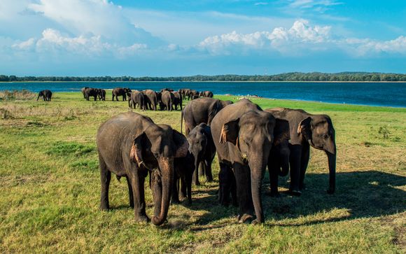 Ihre Rundreise im Detail