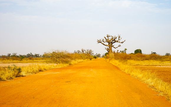 Willkommen im... Senegal!