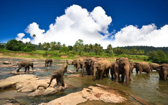 Willkommen in... Sri Lanka!