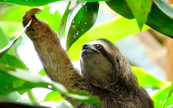 Ihre Rundreise im Überblick