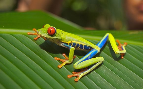 Ihre Rundreise im Detail