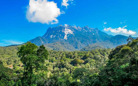 Ihre Rundreise im Detail