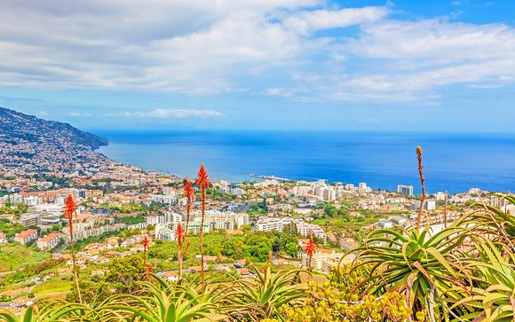 Willkommen in... Madeira!