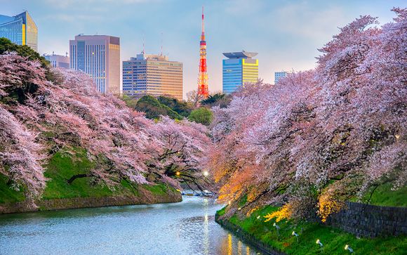 Ihre Vorverlängerung in Tokio