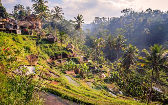 Willkommen auf... Bali !