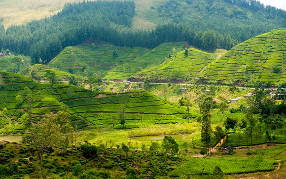 Willkommen auf...Sri Lanka!