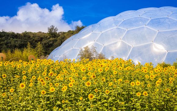 Ihre Rundreise im Detail