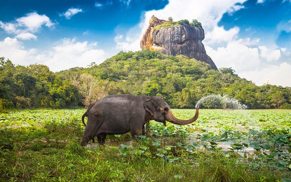 Willkommen in... Sri Lanka!