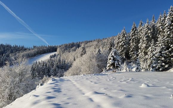 Willkommen im... Schwarzwald!