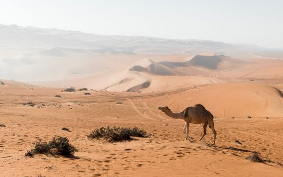 Tu itinerario de viaje