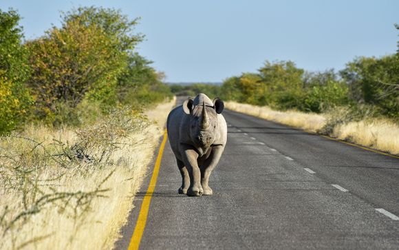 ¡Completa tu estancia!