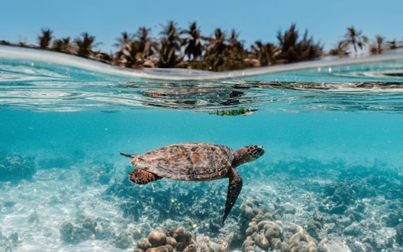 Gaafu Alifu Atoll, en Maldivas, te espera