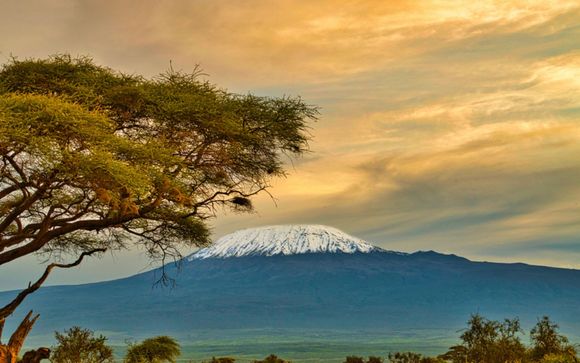 Tu itinerario durante el safari