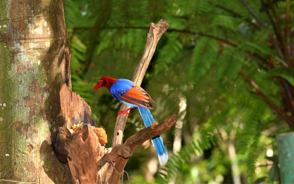 ¡Completa tu estancia!