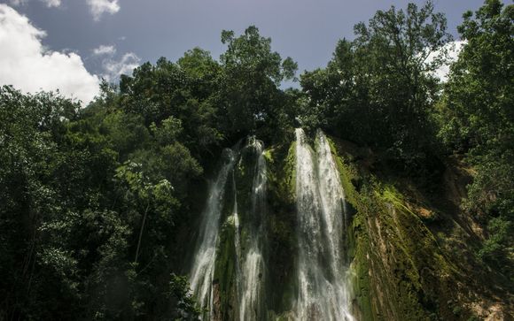 Tu actividad incluida