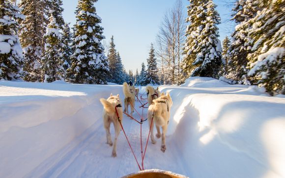 ¡Tus actividades incluidas!