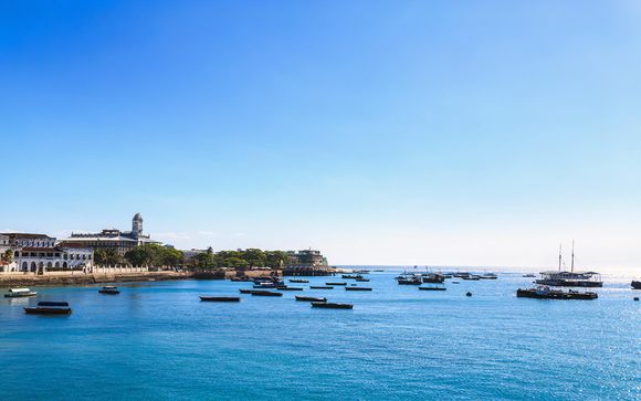 Tus opciones incluidas