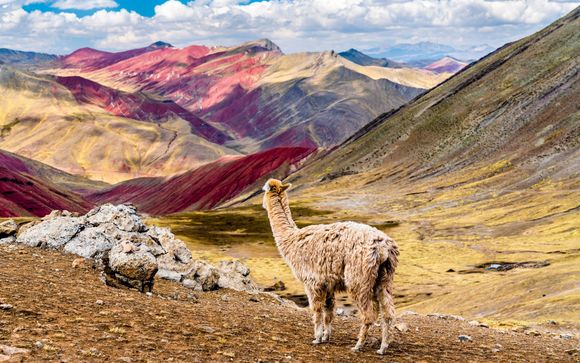 ¡Completa tu estancia!