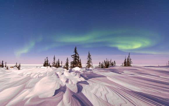 ¡Completa tu estancia!