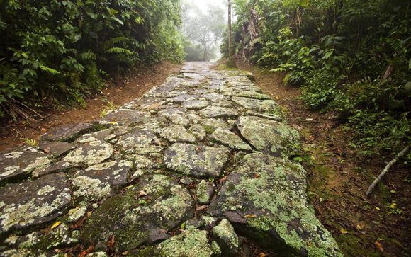 ¡Completa tu estancia!