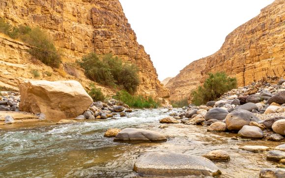 ¡Completa tu estancia!