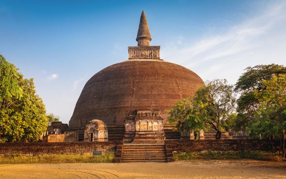 ¡Completa tu estancia!