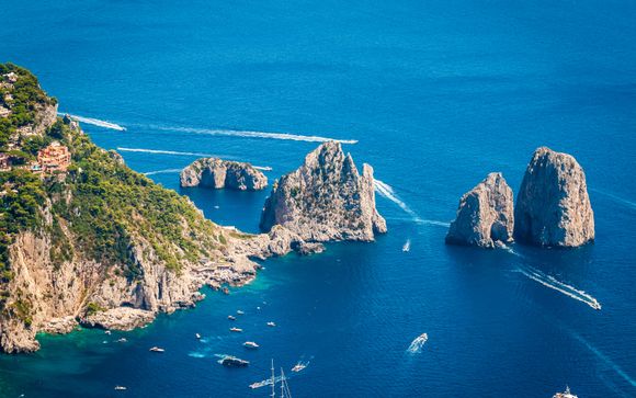 Tus opciones incluidas