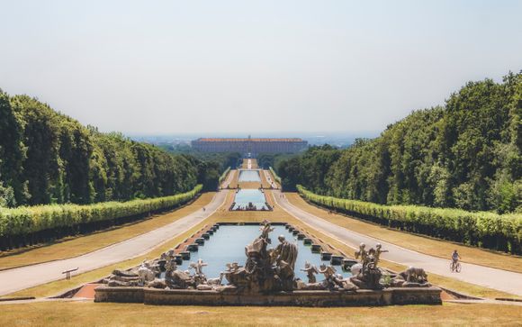 Tus opciones incluidas