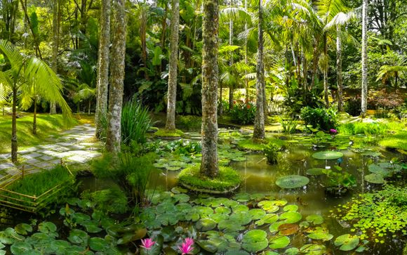 Tu actividad incluida