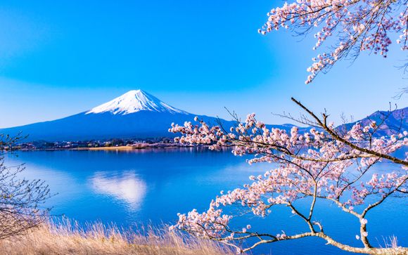 ¡Completa tu estancia!