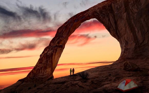 Tus opciones incluidas