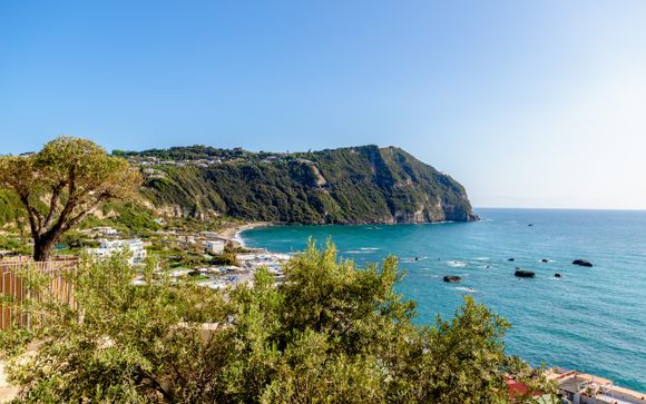 Tu actividad incluida 