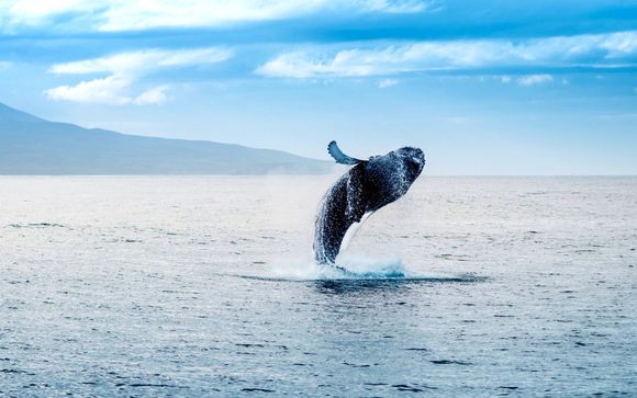 ¡Completa tu estancia!