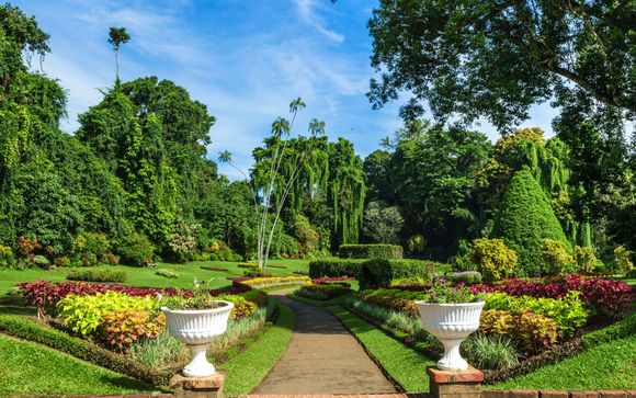 ¡Completa tu estancia!